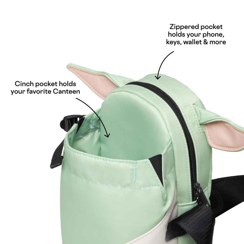 disney-sling-i4 53593b3e49e2--Sling-PDP-4.png