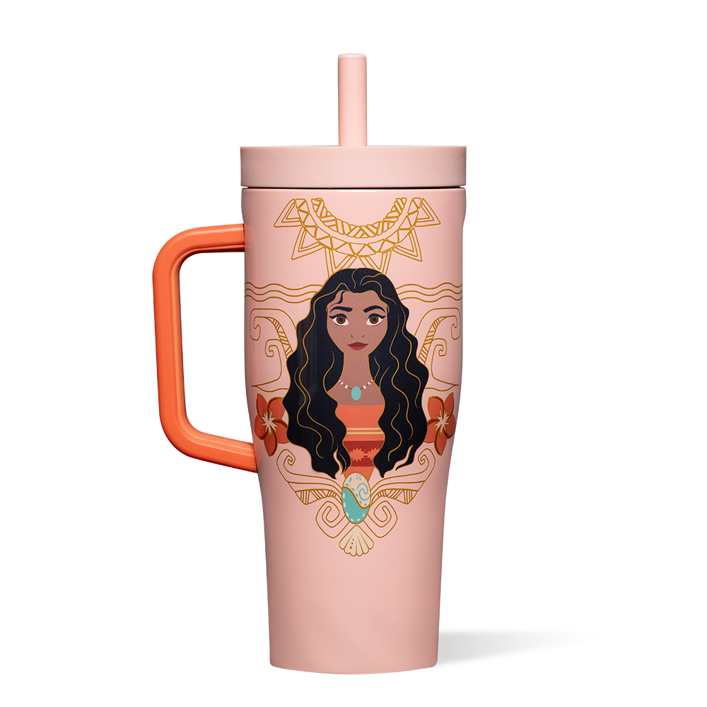 disney-princess-leakproof-cruiser-h1 DIS2222DP-M-01.png